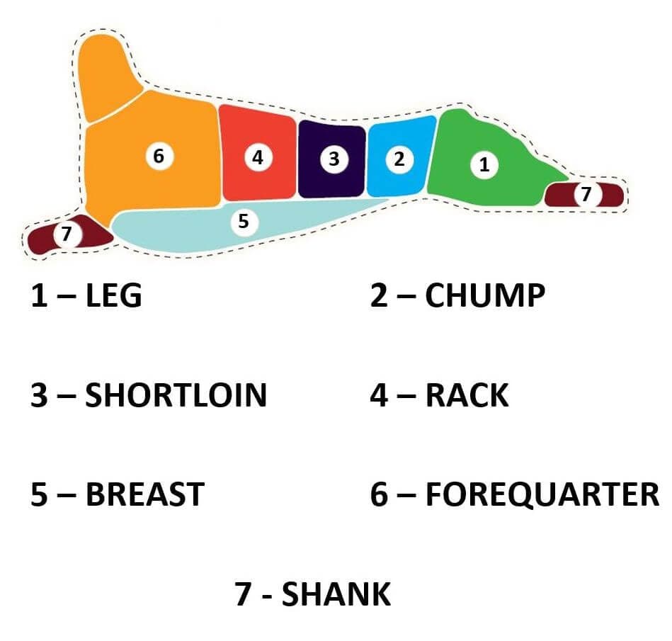 Cuts of Meat Lamb
